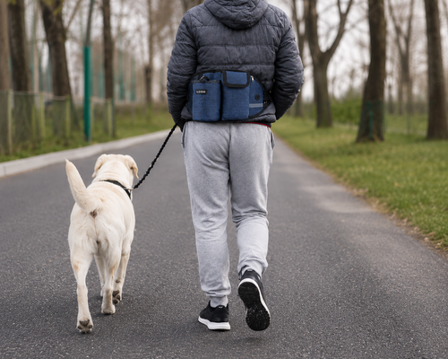 Hands-Free Dog Walking & Training Belt Bag